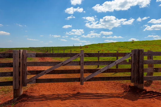 fazenda1