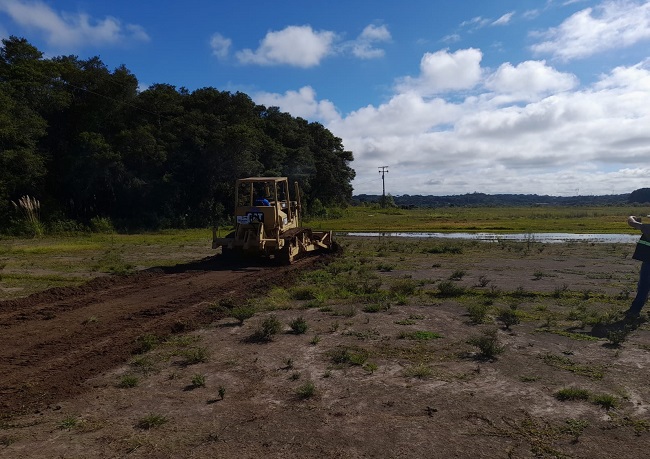 DE AMORIM TERRAPLANAGEM